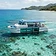 Island Adventure Dolphin Cruise