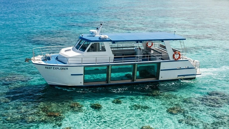 Island Adventure Dolphin Cruise — boat-tours