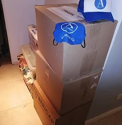 Mudanzas Ale en acción 11