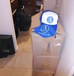 Mudanzas Ale en acción 4