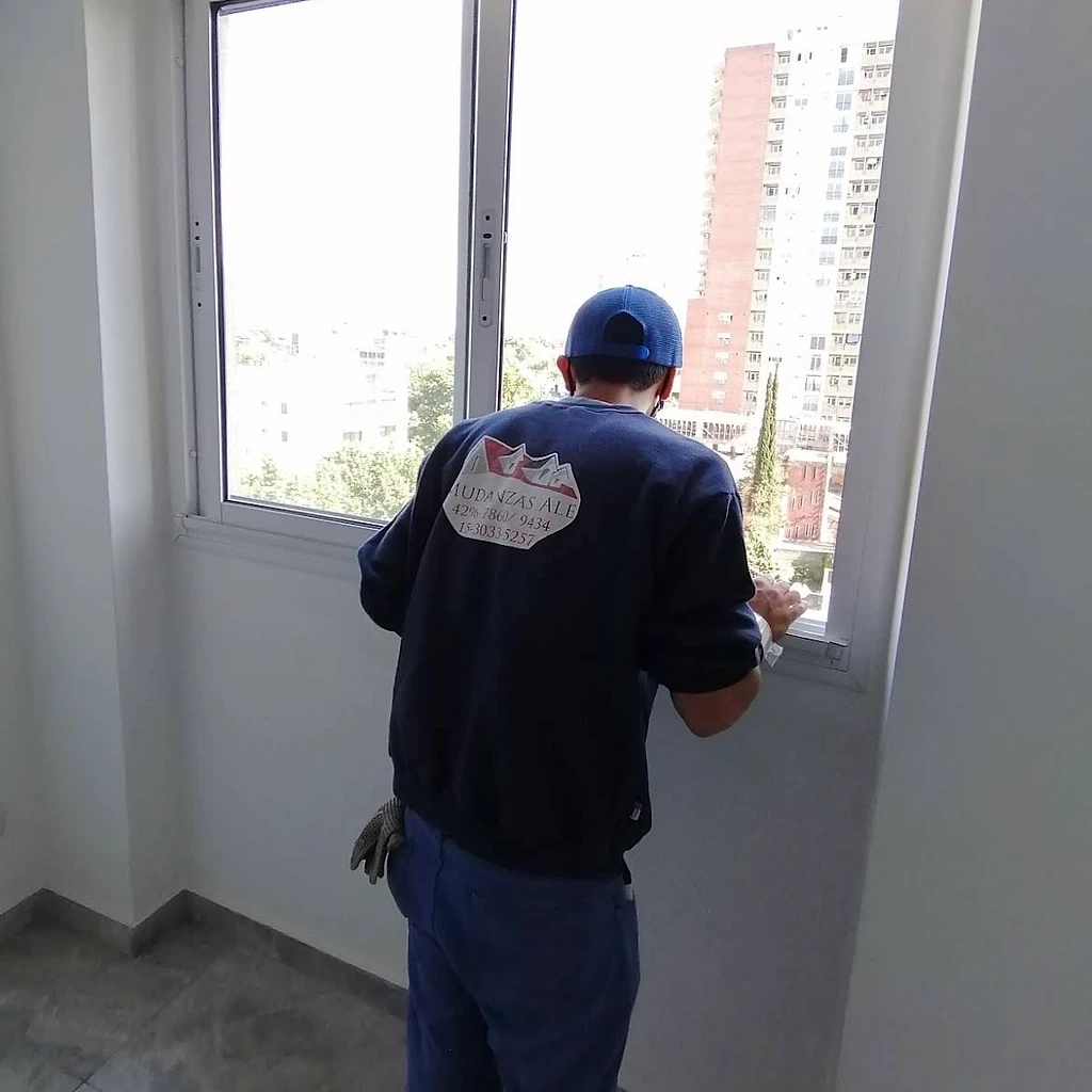 Mudanzas Ale en acción 2