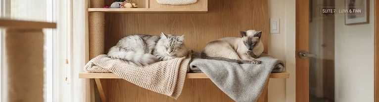 Kitten Cottage Hotel