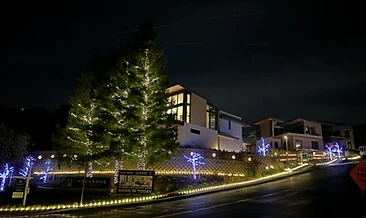 The Preserve at Marin · trunk wraps & pathway lighting