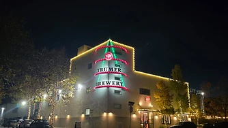 Professional roofline and facade lighting install