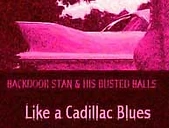 BACKDOOR STAN & HIS BUSTED BALLS band promo