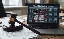 The Regulatory Reckoning: Andrew Left and the Citron Fraud Case