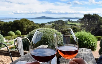Waiheke Island Wine Country