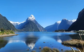Milford Sound Day Trip