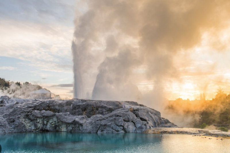 Pohutu Geyser erupting at Te Puia, Rotorua
