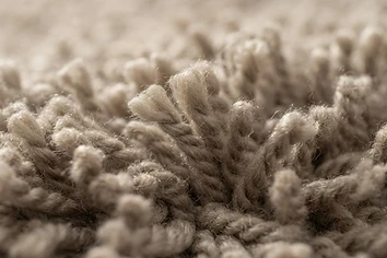 Close-up of cut pile carpet fibers next to a wood-look vinyl plank