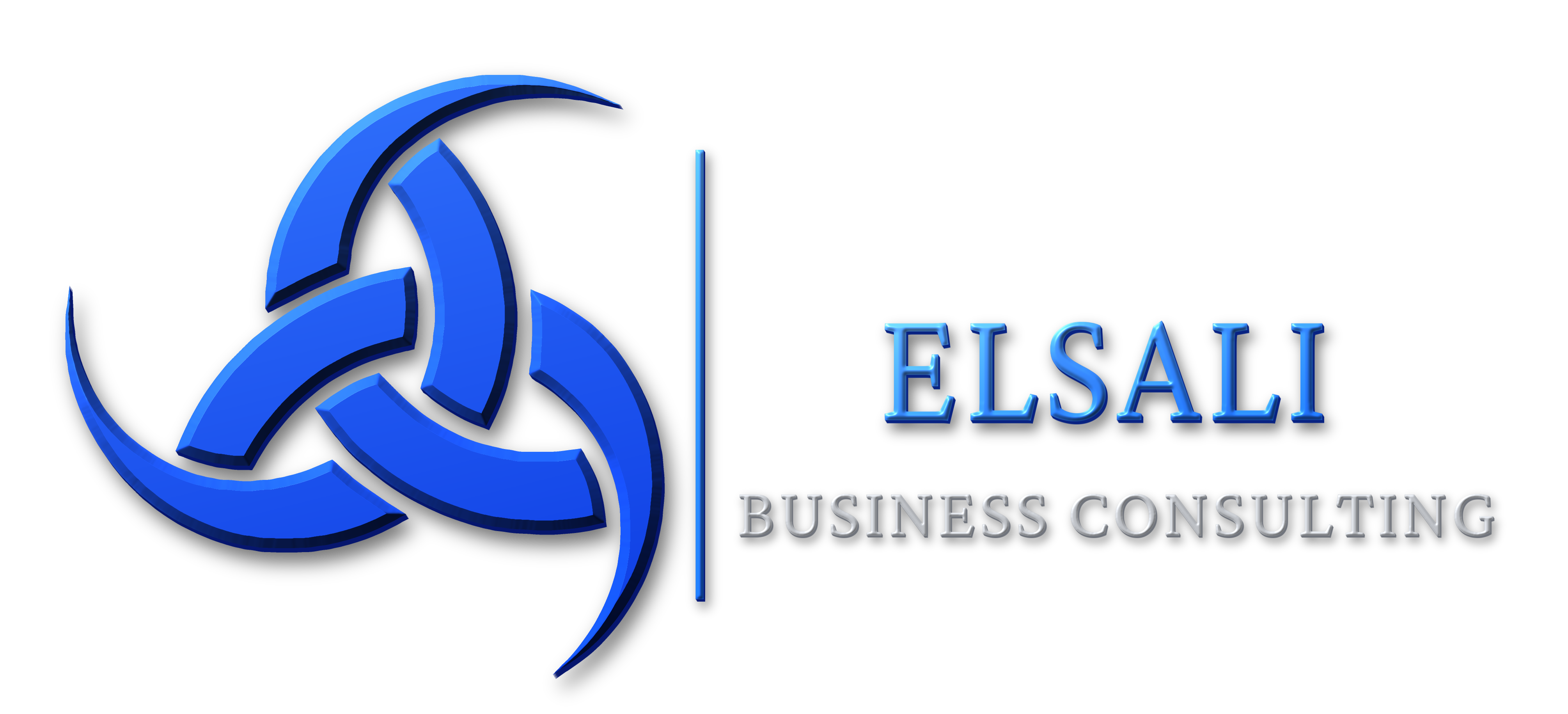 ElSali Business Consulting