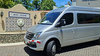 Silver Van profile view