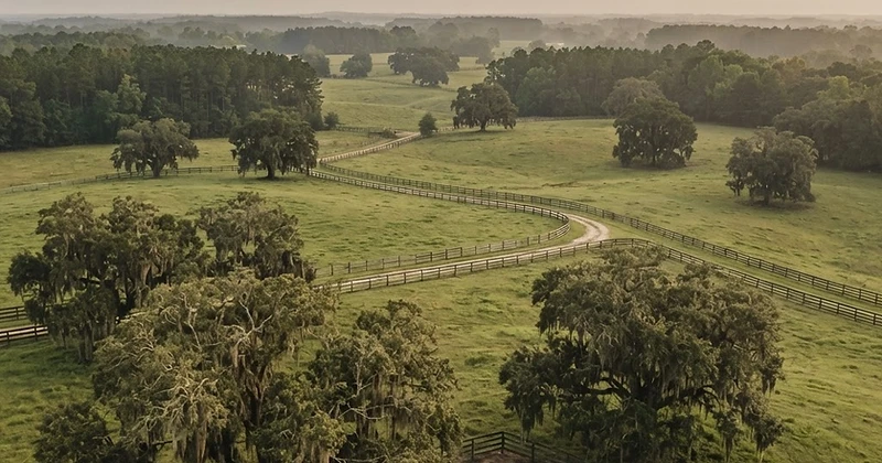 North Central Florida landscape