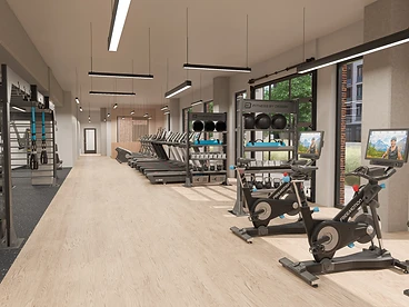 3D Rendering