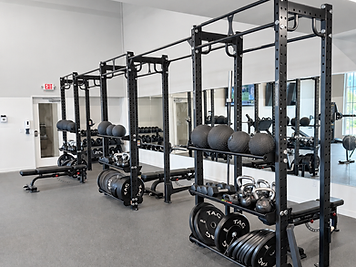 Free Weights