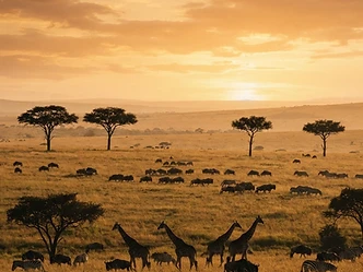 Serengeti, Tanzania