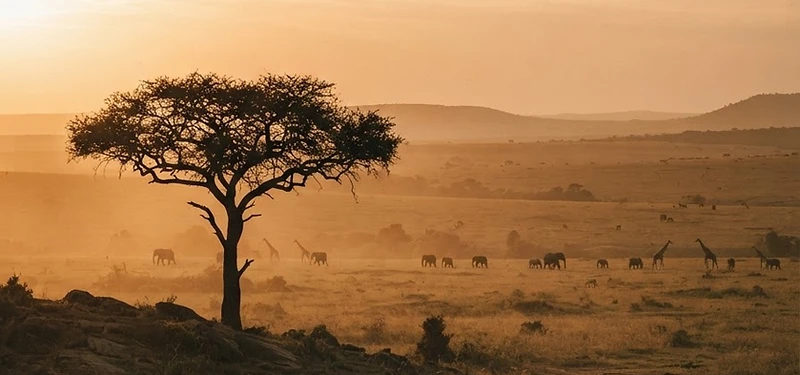 Serengeti, Tanzania