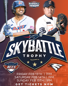 SKYBATTLE Trophy Poster