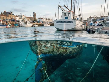 Coque sous l'eau à Noirmoutier