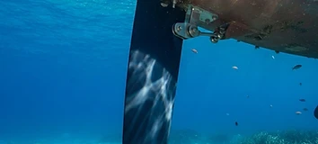 Optimiser la performance de votre safran : un contrôle sous-marin indispensable