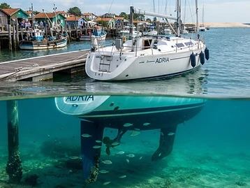 Coque sous l'eau à Arcachon