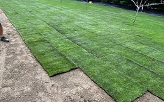 Turfing by CG Landscaping