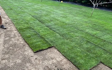 Turfing