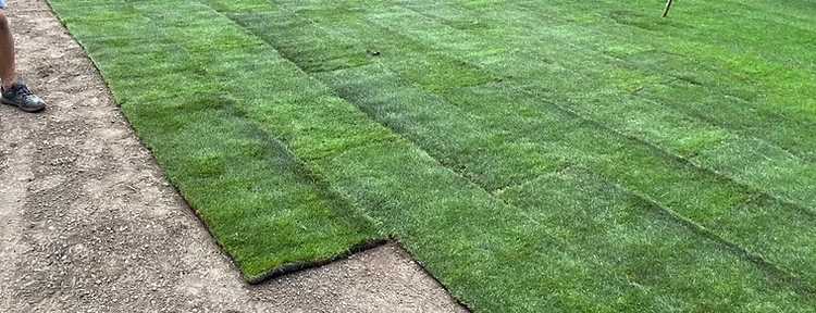 Turfing work 1