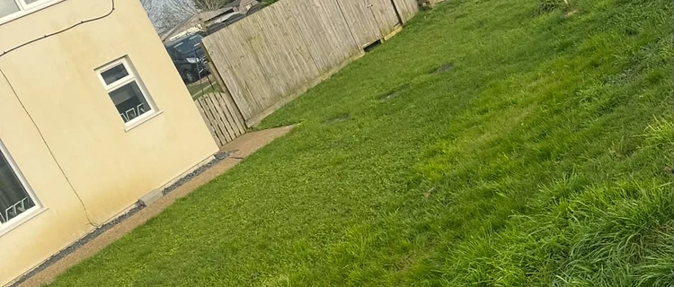 Side garden before — patchy lawn and rusted railing by the driveway