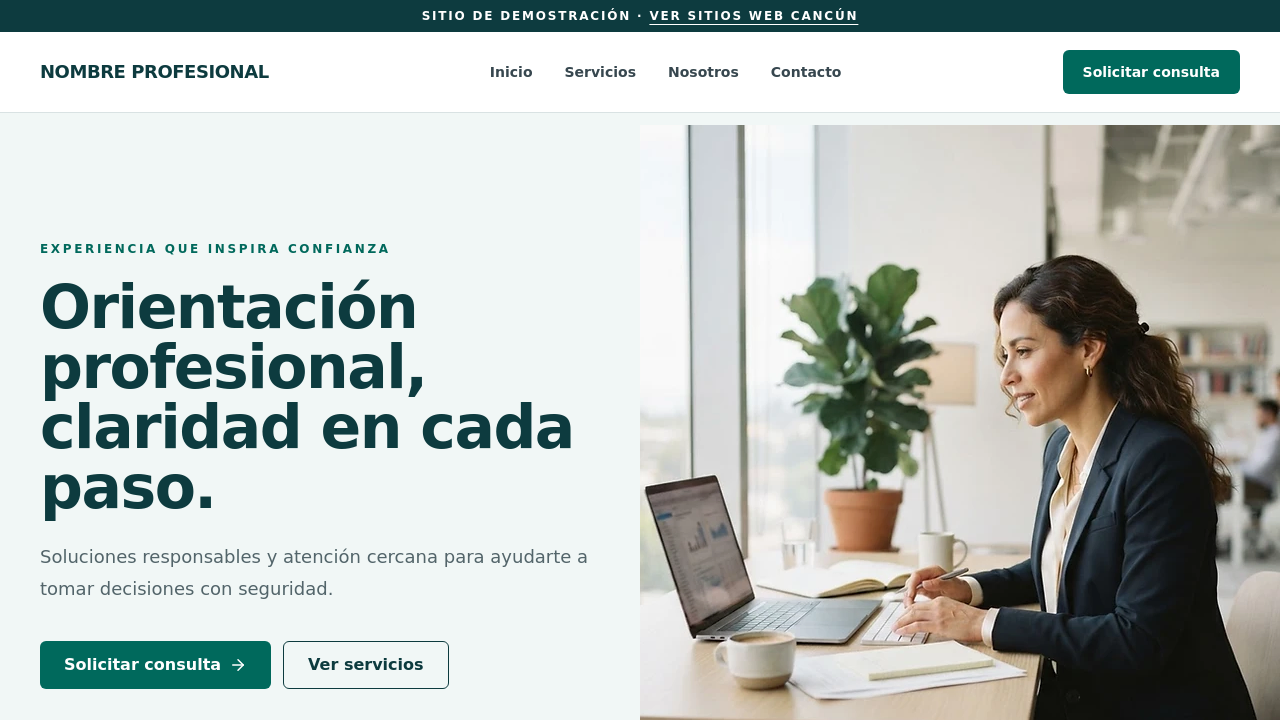 04 – Professional-Split template preview