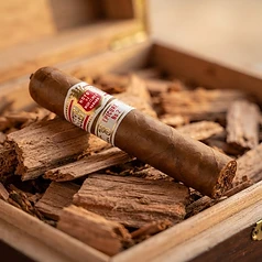 Hoyo de Monterrey Epicure No. 2