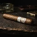 Montecristo White Toro