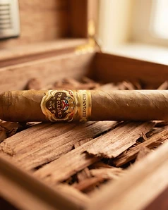 San Cristobal Elegancia Toro