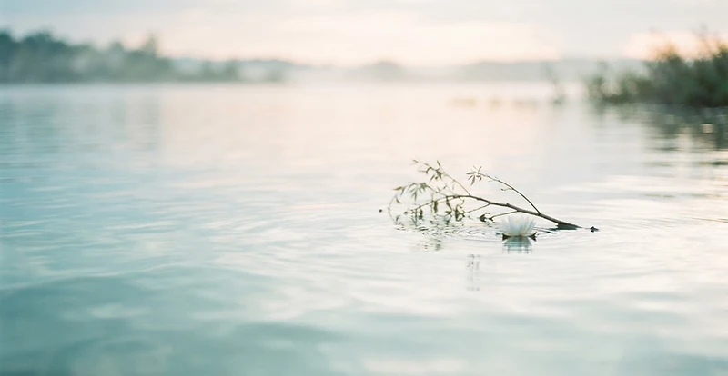 Calm water representing restoration