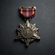 Metal of Valor