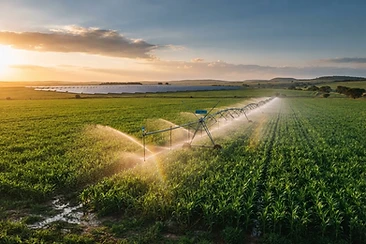Agricultural Solar in Bronkhorstspruit