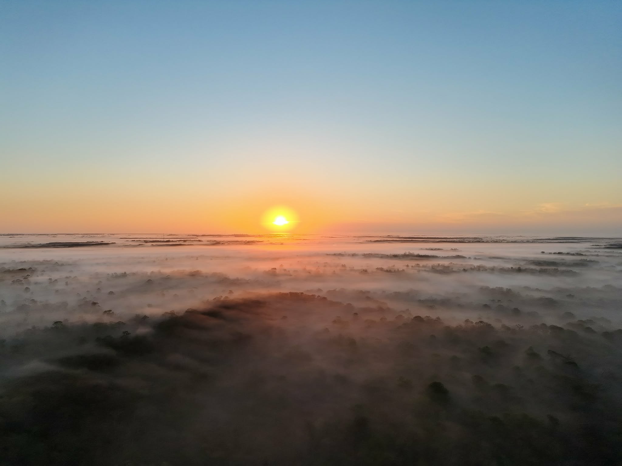First Light Over the Wetlands