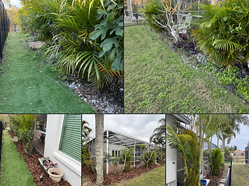 Landscaping cleanup by TAZPRO Handyman LLC