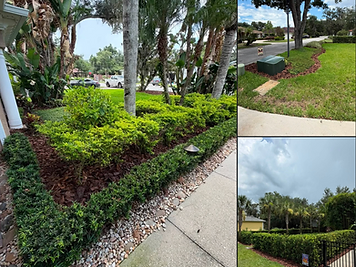 Mulch Installation by TAZPRO Handyman LLC