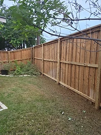 Wood fence after washing, cleaner and more even, under tree branches