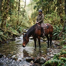 Stream break on the trail ride.