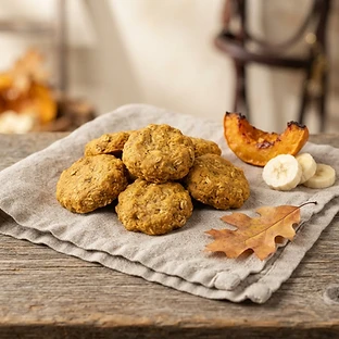 Pumpkin & Banana Rounds