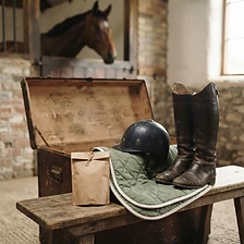 Tack trunk essentials. Show day gear, laid out.
