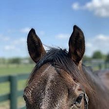 Ears to the sky. Always listening.