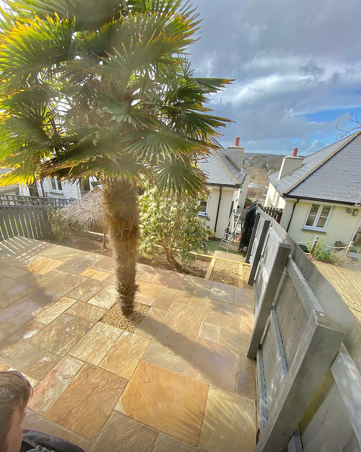 Natural stone patio with feature palm tree