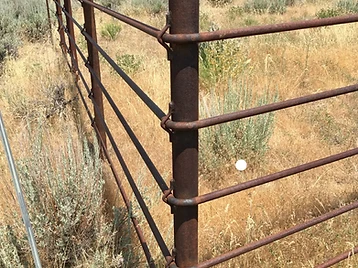 Pipe Corral Fencing