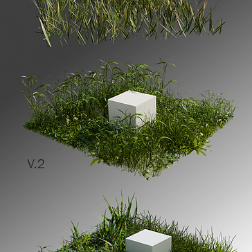 Grass Studies