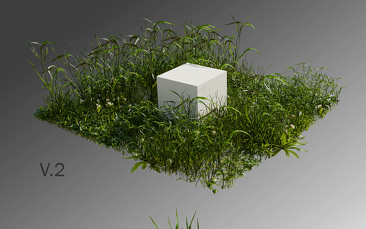 Grass Studies