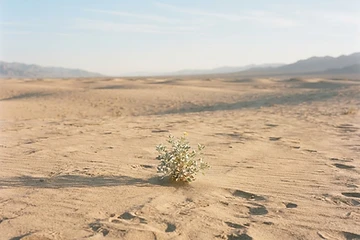 Why Do Small Things Feel So Overwhelming?
