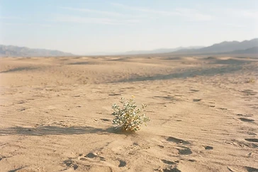 Why Do Small Things Feel So Overwhelming?